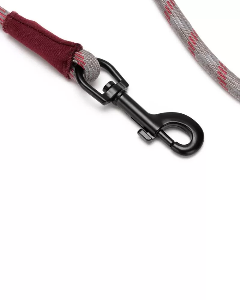 Snow Peak Sp Rope Lead^ Pets